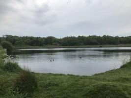 Bury Meadows Nature Reserve Oswaldtwistle